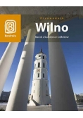 Wilno. Barok z kamienia i obłoków - przewodnik