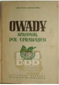 Owady szkodniki pól uprawnych