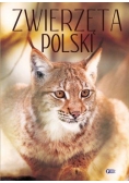 Zwierzęta Polski