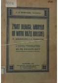 Żywot błogosławionego Gabryela od matki Bożej Bolesnej, 1911 r.