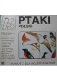 Ptaki Polski