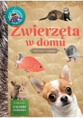 Młody Obserwator Przyrody. Zwierzęta w domu