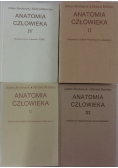 Anatomia człowieka zestaw 4 książek