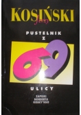 Pustelnik z 69 ulicy
