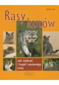 Rasy kotów