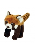 Panda ruda