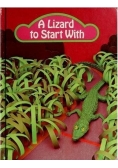 A Lizard to Start With