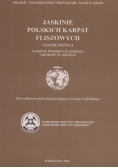 Jaskinie polskich karpat fliszowych