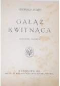 Gałąź kwitnąca, 1922 r.