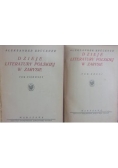 Dzieje literatury polskiej w zarysie, t. I-II,  1924 r.