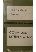 Czym jest literatura ?
