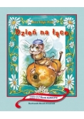 Dzień na łące