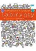Prawdziwe wyzwania: Labirynty