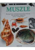 Patrzę Podziwiam Poznaję Muszle
