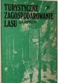Turystyczne Zagospodarowanie Lasu