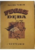 Pegaz Dęba 1950 r.