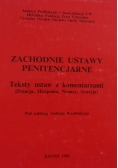 Zachodnie ustawy penitencjarne