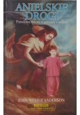 Anielskie drogi prawdziwe historie o gościach z nieba