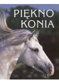 Piękno Konia