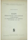Rady robotnicze, żołnierskie i chłopskie w Wielkopolsce