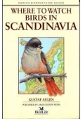 Where to watch birds in Scandinavia