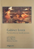 Gabinet luster. Psychoanalityczne krytyki poznania