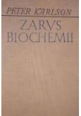 Zarys biochemii