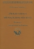Zwierciadło Śródziemnomorza. Rozmowy z Zygmuntem Kubiakiem