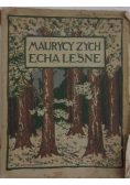 Echa leśne, 1920 r.