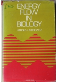Energy Flow in Biology