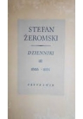 Dzienniki III 1888-1891