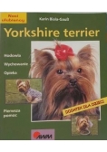Yorkshire terrier