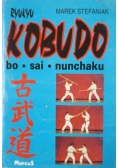 Ryukyu Kobudo Bo sai nunchaku