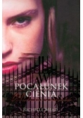 Akademia Wampirów 3. Pocałunek cienia