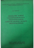 Modelowe formy zagospodarowania przestrzennego górnośląskiego okręgu przemysłowego
