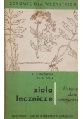 Zioła lecznicze