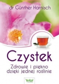 Czystek. Zdrowie i piękno dzięki jednej roślinie