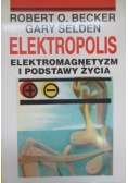 Elektropolis. Elektromagnetyzm i podstawy życia