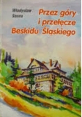 Przez góry i przełęcze Beskidu Śląskiego