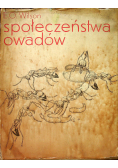 Społeczeństwa owadów