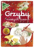 Poznaję i rysuję. Grzyby naszych lasów