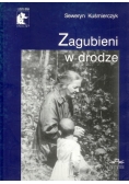 Zagubieni w drodze