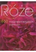 Róże 650 najpiękniejszych odmian