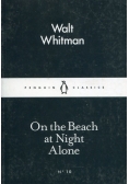 On the Beach at Night Alone