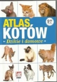 Atlas kotów dzikie i domowe