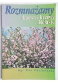 Rozmnażamy drzewa i krzewy liściaste