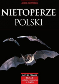 Nietoperze polski