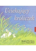 Uciekający króliczek