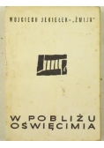 W pobliżu Oświęcimia