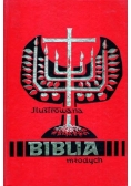 Ilustrowana Biblia młodych